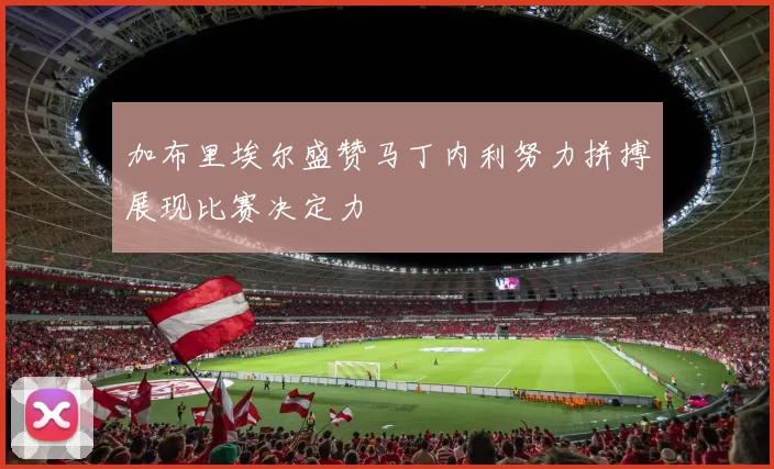 加布里埃尔盛赞马丁内利努力拼搏展现比赛决定力