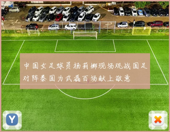 中国女足球员杨莉娜现场观战国足对阵泰国为武磊百场献上敬意